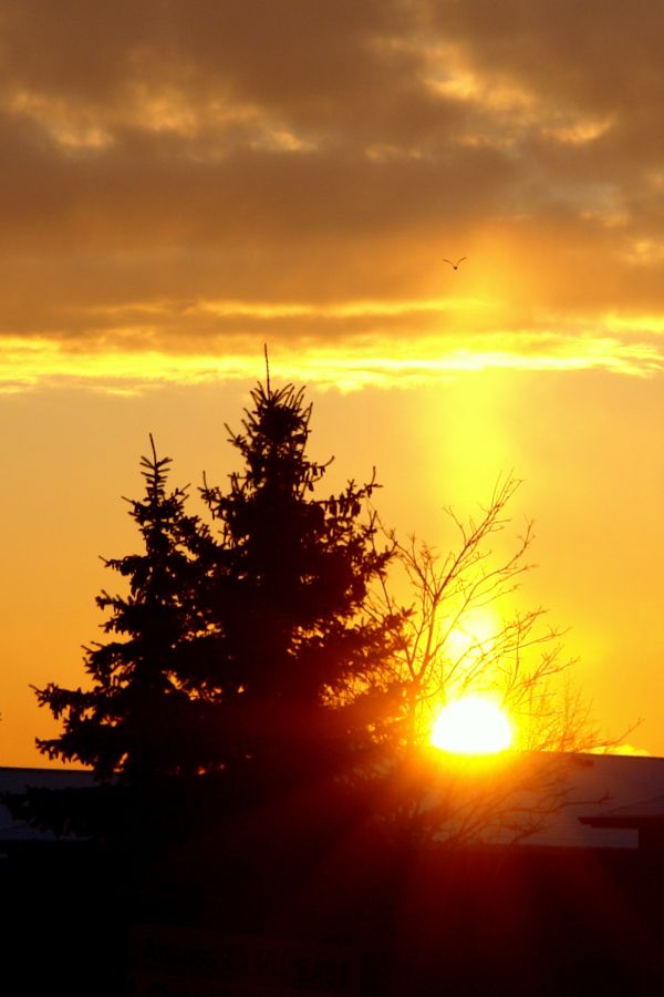 (026 04376) Lest We Forget - Kingston Road, Ajax, ON